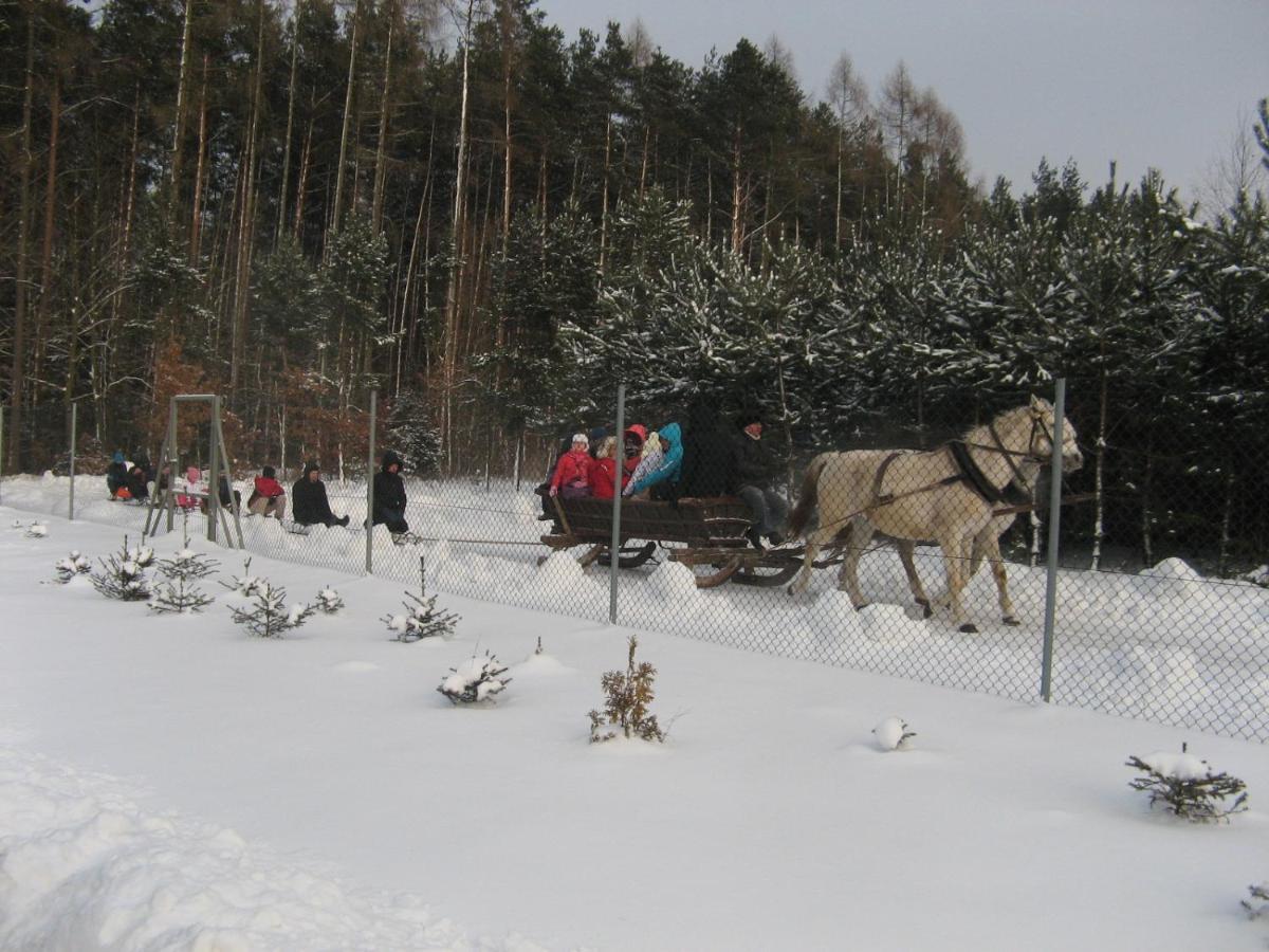 Lesny Dworek Snochowice 外观 照片